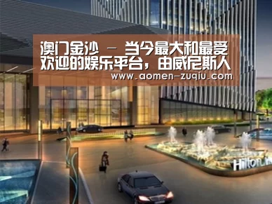 案例展示二